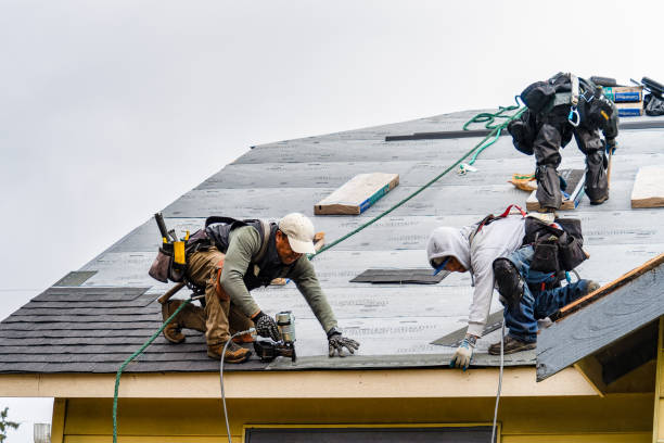 Professional Roofing technician working in New England, ND